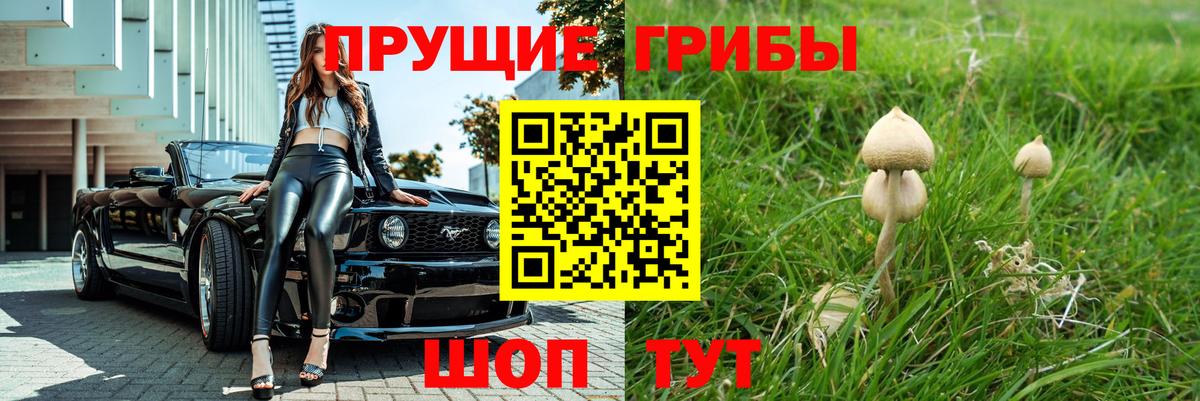 Сосновый Бор  Галлюциногенные грибы ЛСД  купить  сайты  Вход с VPN 
