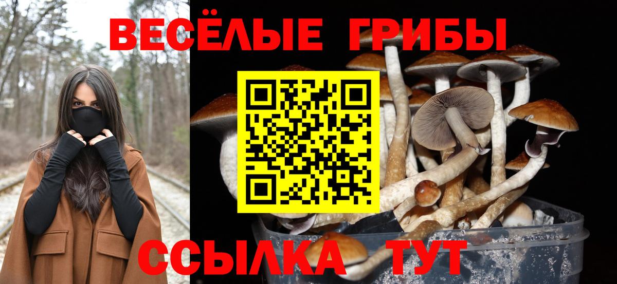 APVP Сосновый Бор