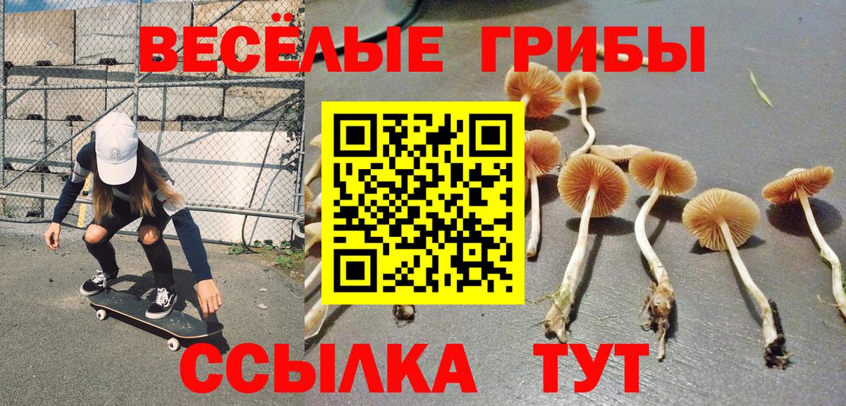 Галлюциногенные грибы GOLDEN TEACHER Сосновый Бор