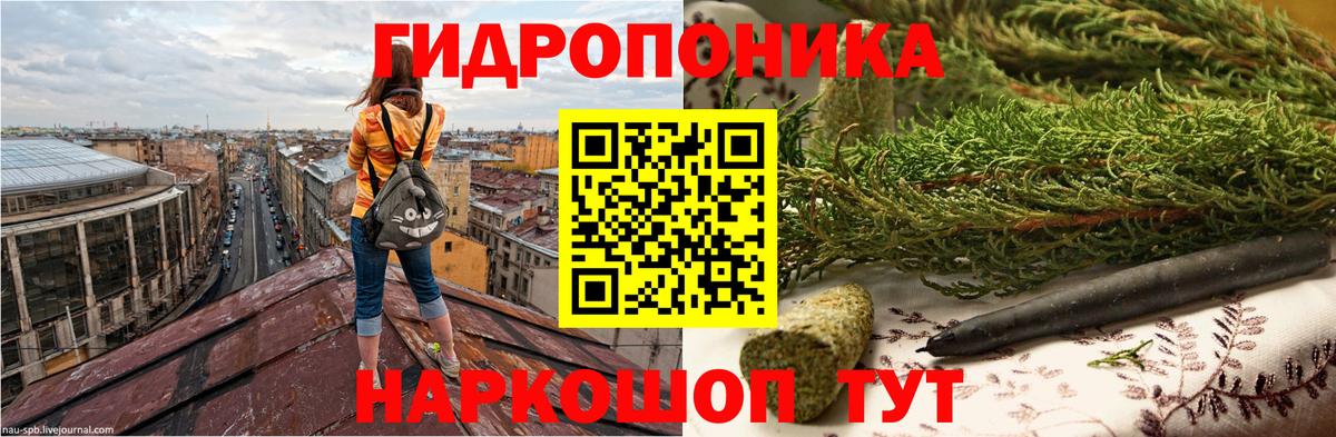 Марихуана OG Kush Сосновый Бор